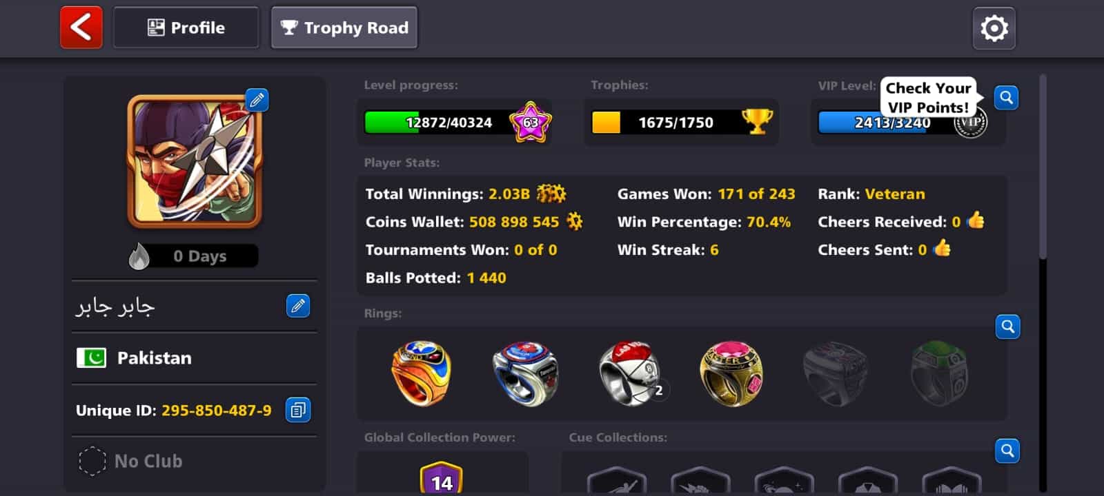 8 Ball Pool Veteran Level 118 (508 898 545 Coins)